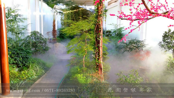 這樣的室內(nèi)庭院，簡直讓我尖叫！